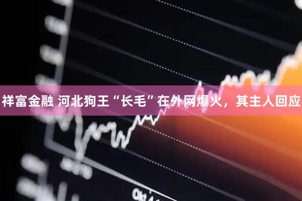 祥富金融 河北狗王“长毛”在外网爆火，其主人回应