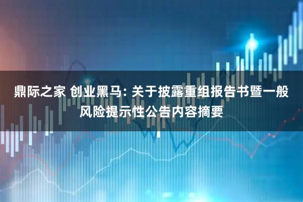鼎际之家 创业黑马: 关于披露重组报告书暨一般风险提示性公告内容摘要