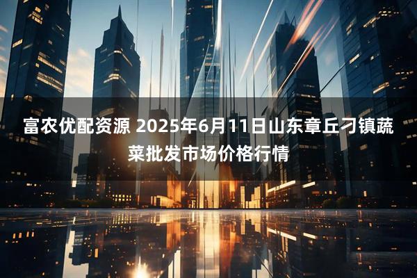 富农优配资源 2025年6月11日山东章丘刁镇蔬菜批发市场价格行情
