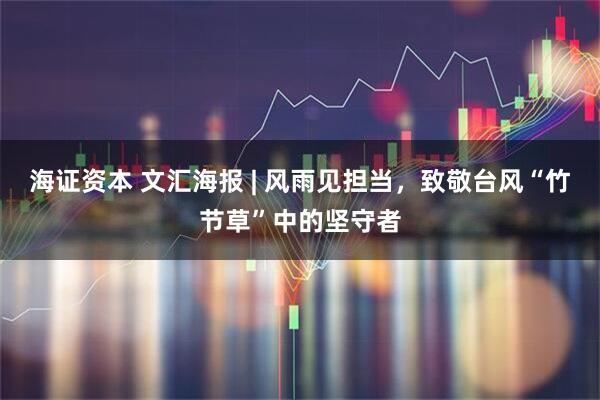 海证资本 文汇海报 | 风雨见担当，致敬台风“竹节草”中的坚守者