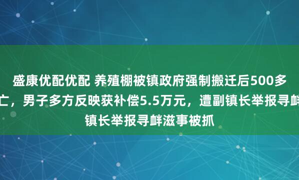 盛康优配优配 养殖棚被镇政府强制搬迁后500多只兔子死亡，男子多方反映获补偿5.5万元，遭副镇长举报寻衅滋事被抓