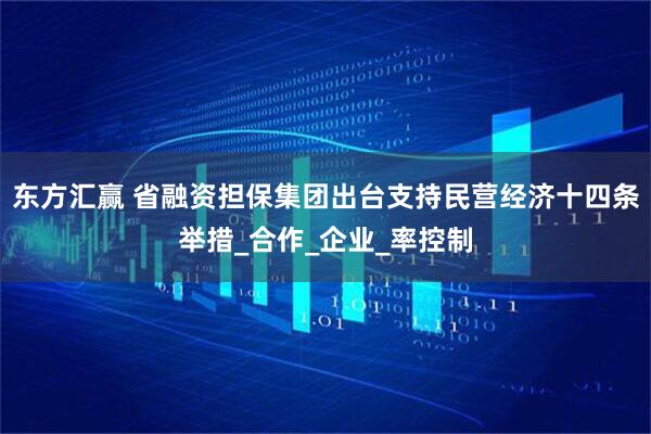 东方汇赢 省融资担保集团出台支持民营经济十四条举措_合作_企业_率控制