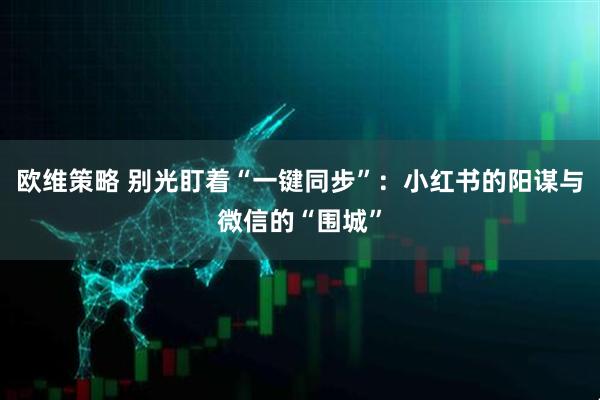 欧维策略 别光盯着“一键同步”：小红书的阳谋与微信的“围城”
