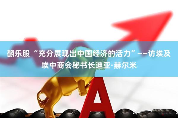 翻乐股 “充分展现出中国经济的活力”——访埃及埃中商会秘书长迪亚·赫尔米