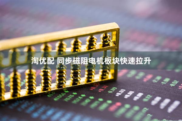 淘优配 同步磁阻电机板块快速拉升