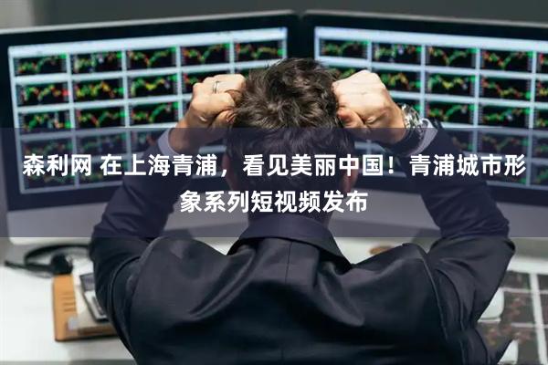 森利网 在上海青浦，看见美丽中国！青浦城市形象系列短视频发布