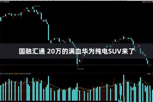 国融汇通 20万的满血华为纯电SUV来了