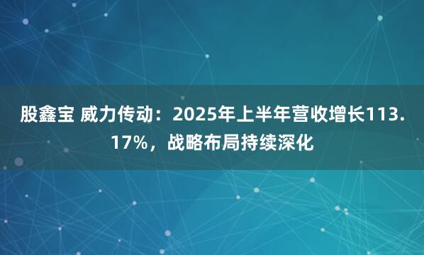 股鑫宝 威力传动：2025年上半年营收增长113.17%，战略布局持续深化