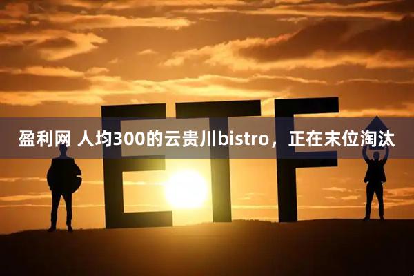 盈利网 人均300的云贵川bistro，正在末位淘汰