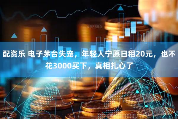 配资乐 电子茅台失宠，年轻人宁愿日租20元，也不花3000买下，真相扎心了