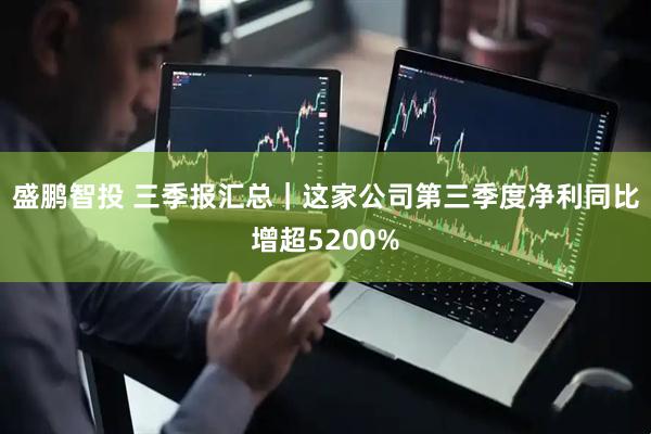 盛鹏智投 三季报汇总｜这家公司第三季度净利同比增超5200%